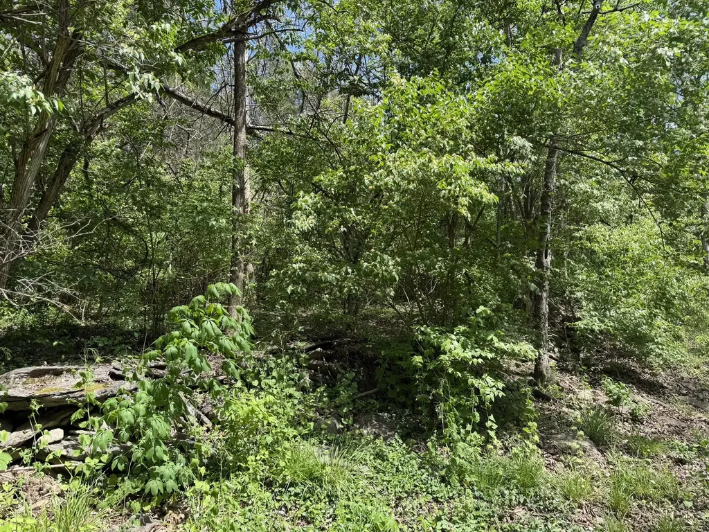 Lot #1 Marble Creek Lane Nicholasville KY 40356