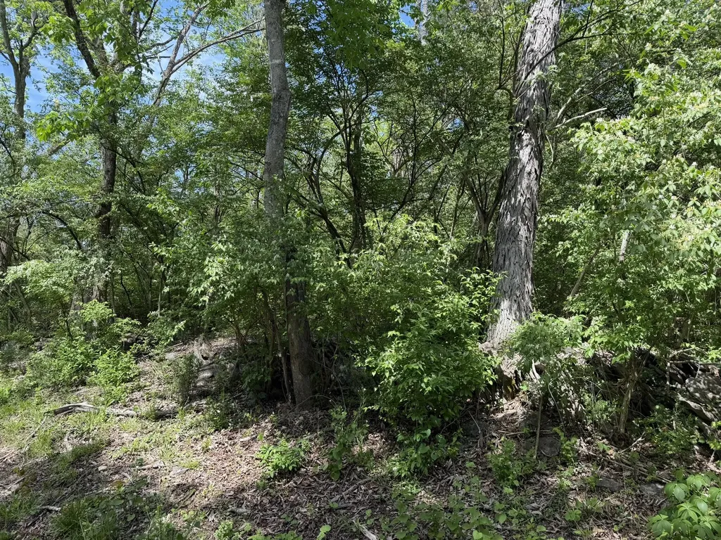Lot #1 Marble Creek Lane Nicholasville KY 40356