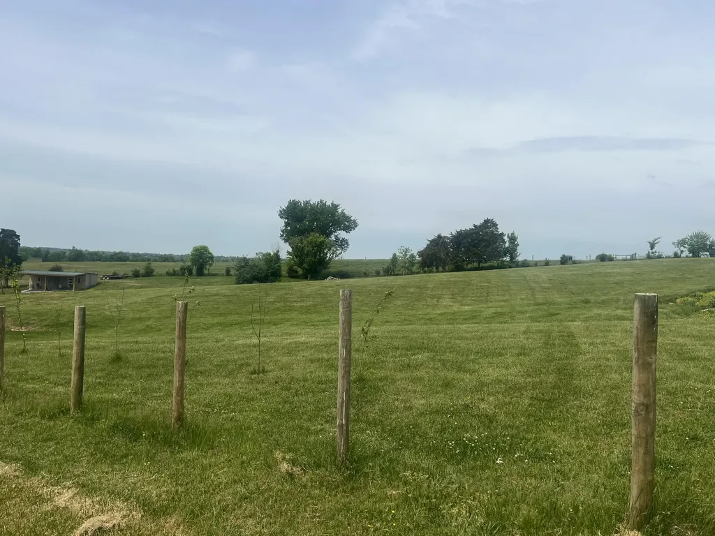 103 Morton Drive Salvisa KY 40372
