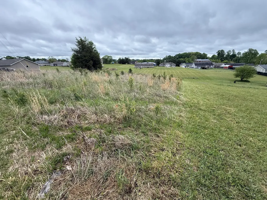Lot #21. (box 373) Highway 1676 Science Hill KY 42553
