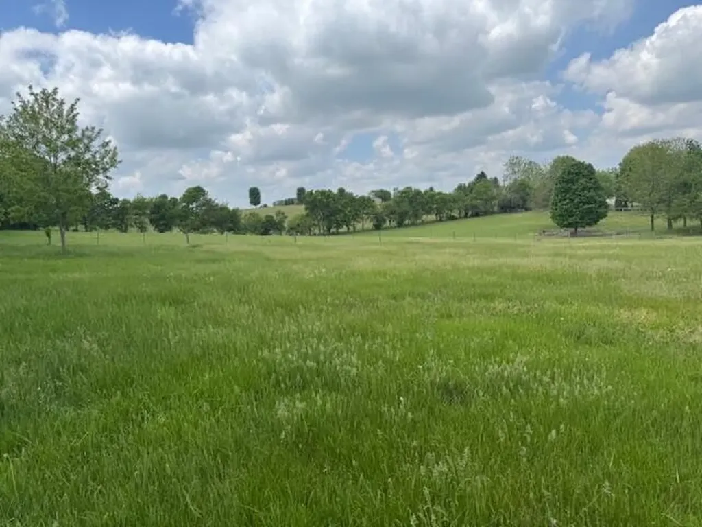 235 Winterhawk Lane Danville KY 40422
