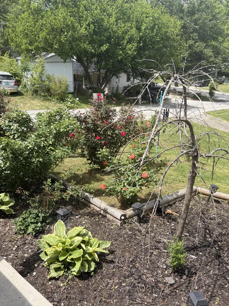 507 Swan Street Corbin KY 40701