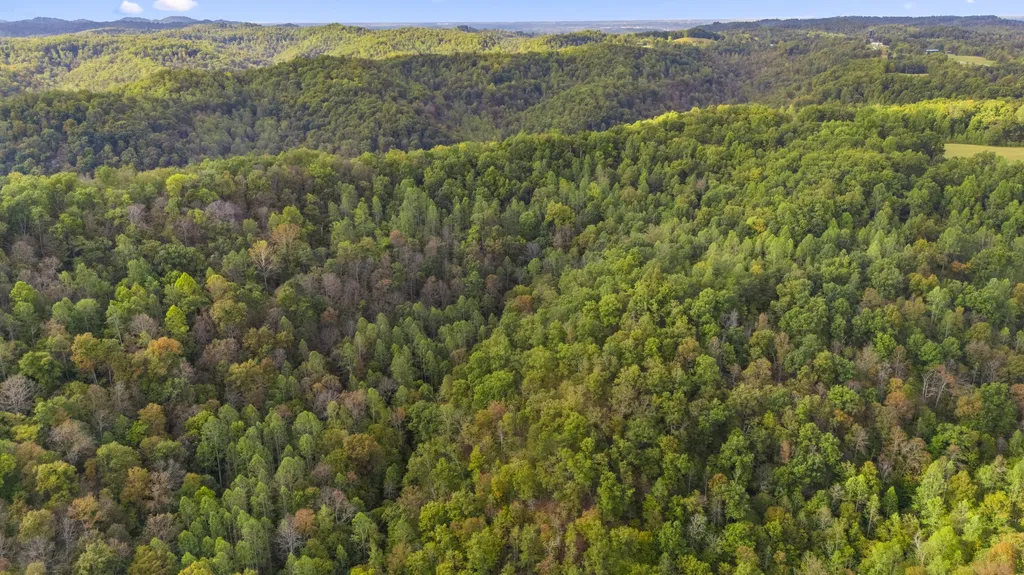 0 Lower Cane Creek/edwards Road Stanton KY 40380
