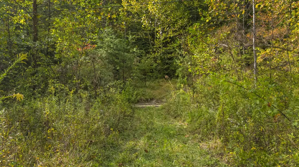0 Lower Cane Creek/edwards Road Stanton KY 40380