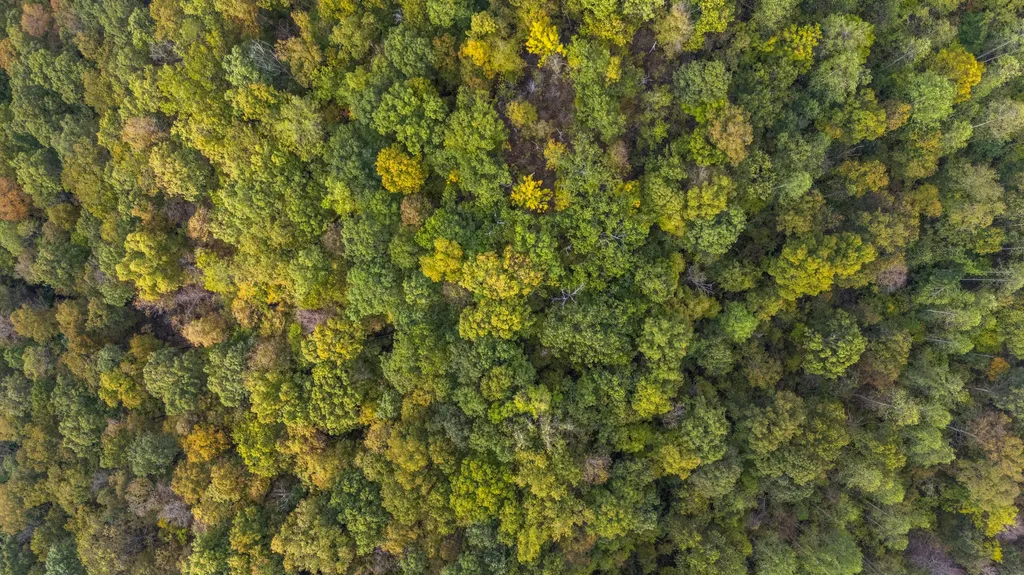 0 Lower Cane Creek/edwards Road Stanton KY 40380