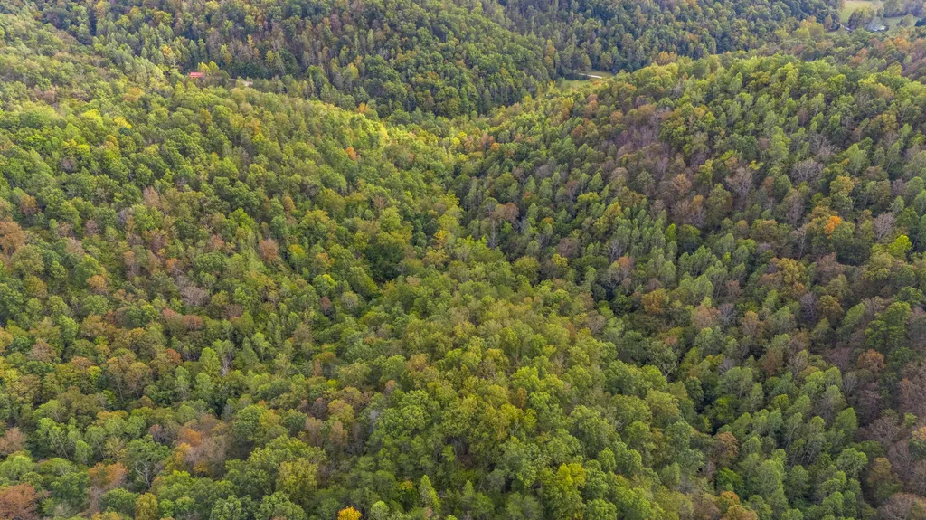 0 Lower Cane Creek/edwards Road Stanton KY 40380