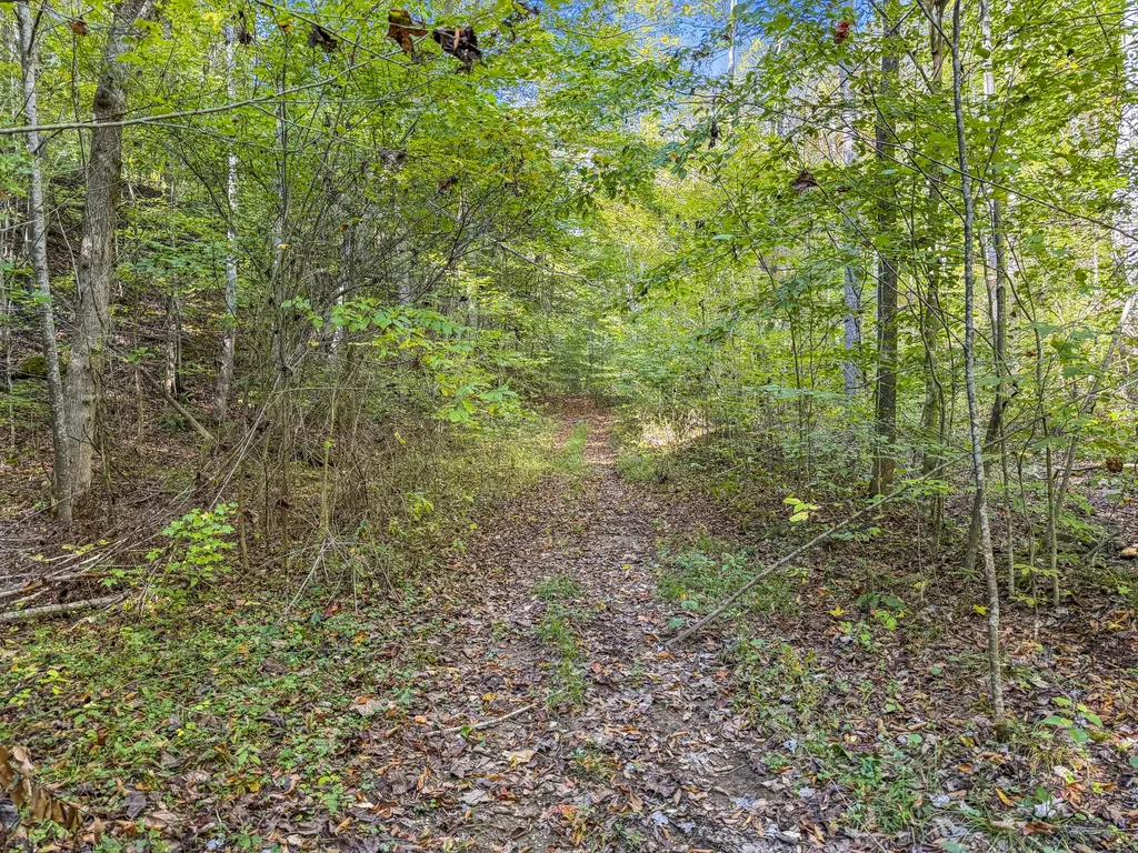 0 Lower Cane Creek/edwards Road Stanton KY 40380