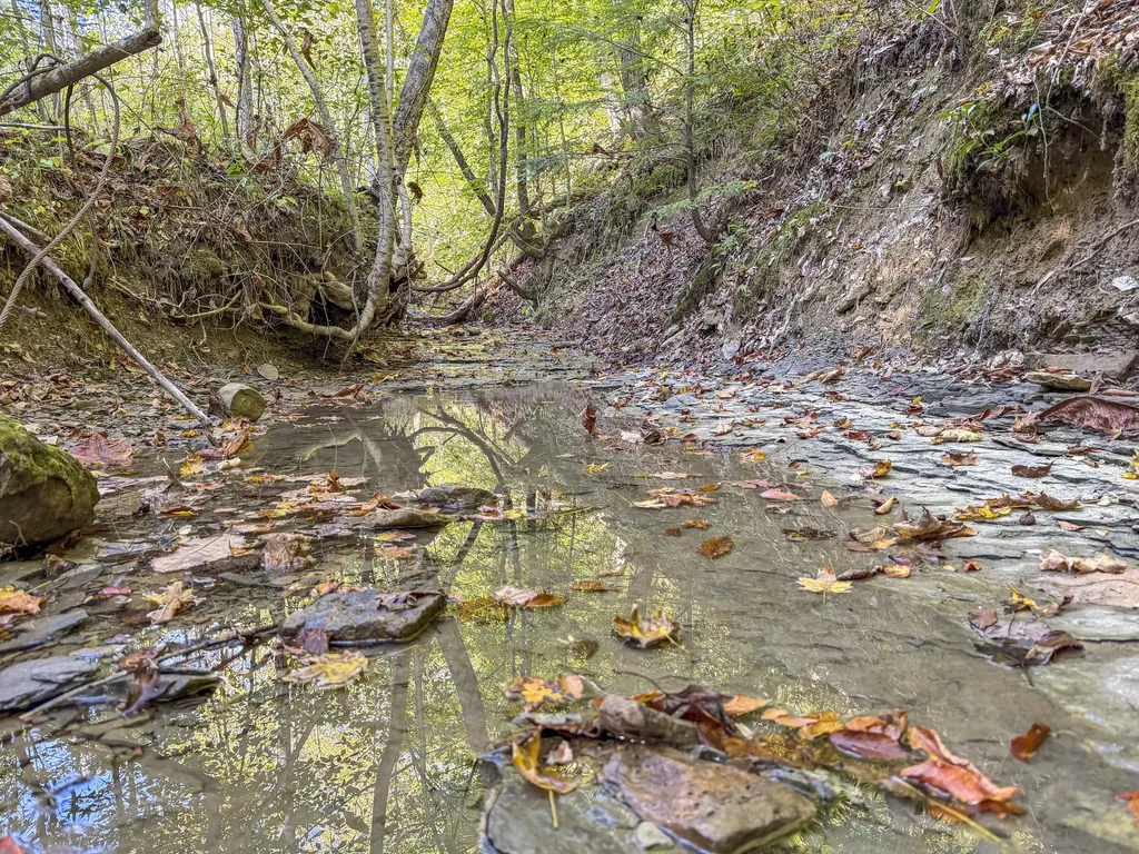 0 Lower Cane Creek/edwards Road Stanton KY 40380