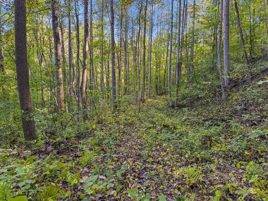 0 Lower Cane Creek/edwards Road Stanton KY 40380