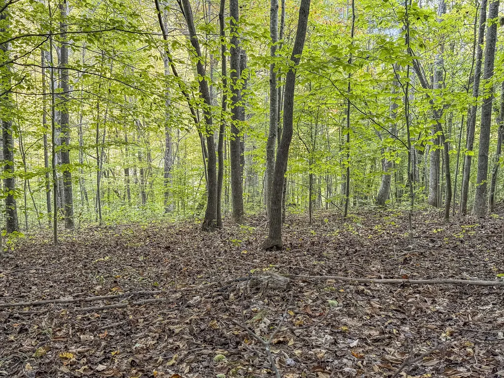 0 Lower Cane Creek/edwards Road Stanton KY 40380