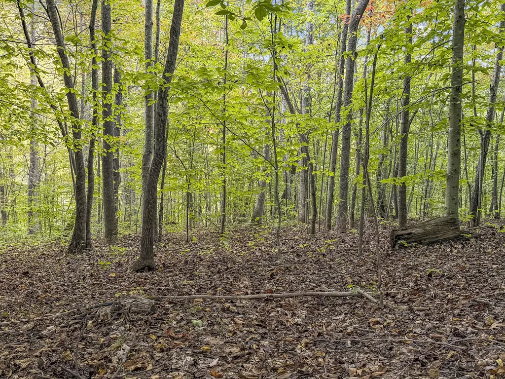 0 Lower Cane Creek/edwards Road Stanton KY 40380