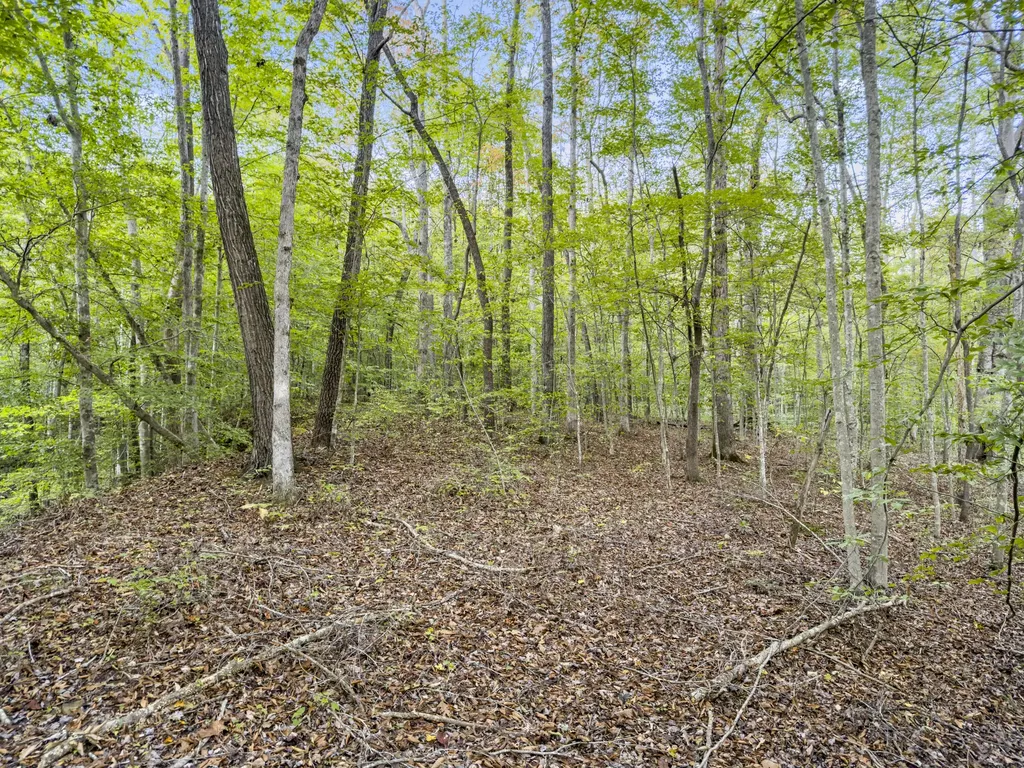 0 Lower Cane Creek/edwards Road Stanton KY 40380