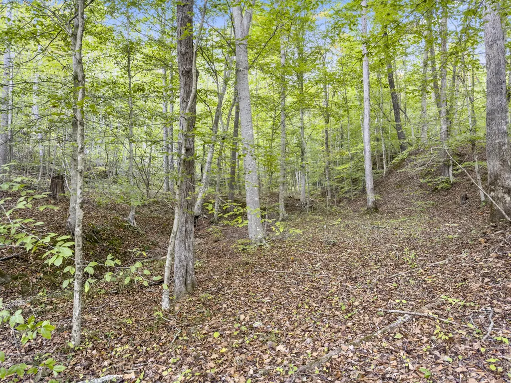 0 Lower Cane Creek/edwards Road Stanton KY 40380