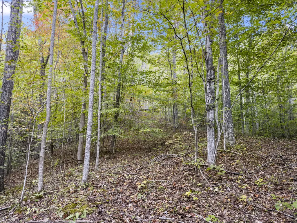 0 Lower Cane Creek/edwards Road Stanton KY 40380