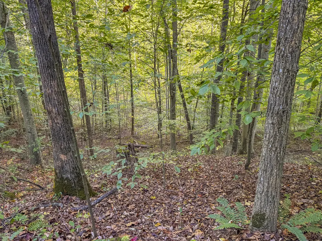 0 Lower Cane Creek/edwards Road Stanton KY 40380