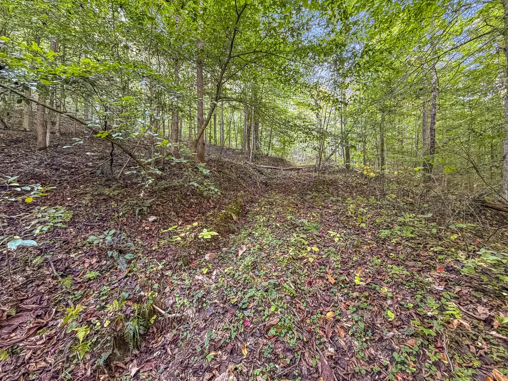 0 Lower Cane Creek/edwards Road Stanton KY 40380