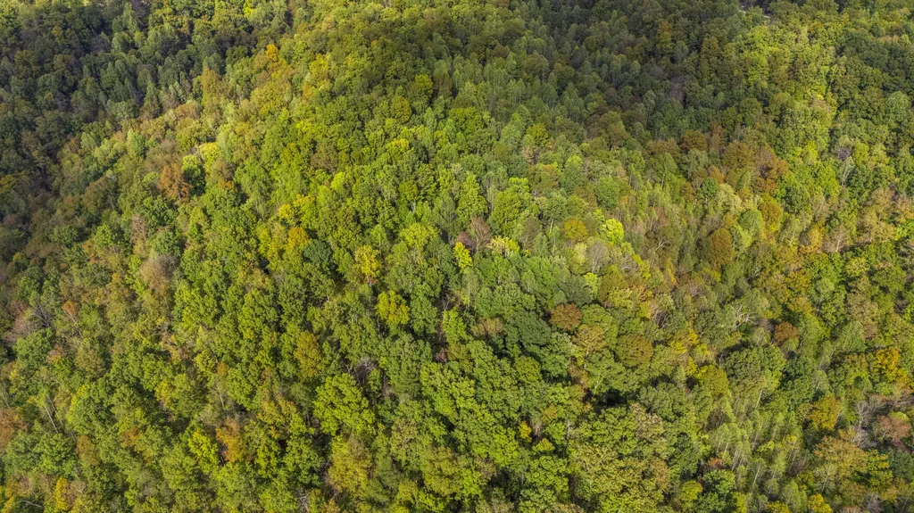 0 Lower Cane Creek/edwards Road Stanton KY 40380