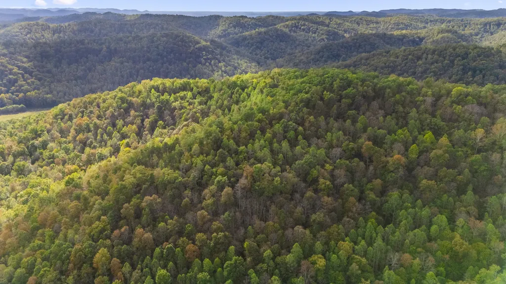 0 Lower Cane Creek/edwards Road Stanton KY 40380