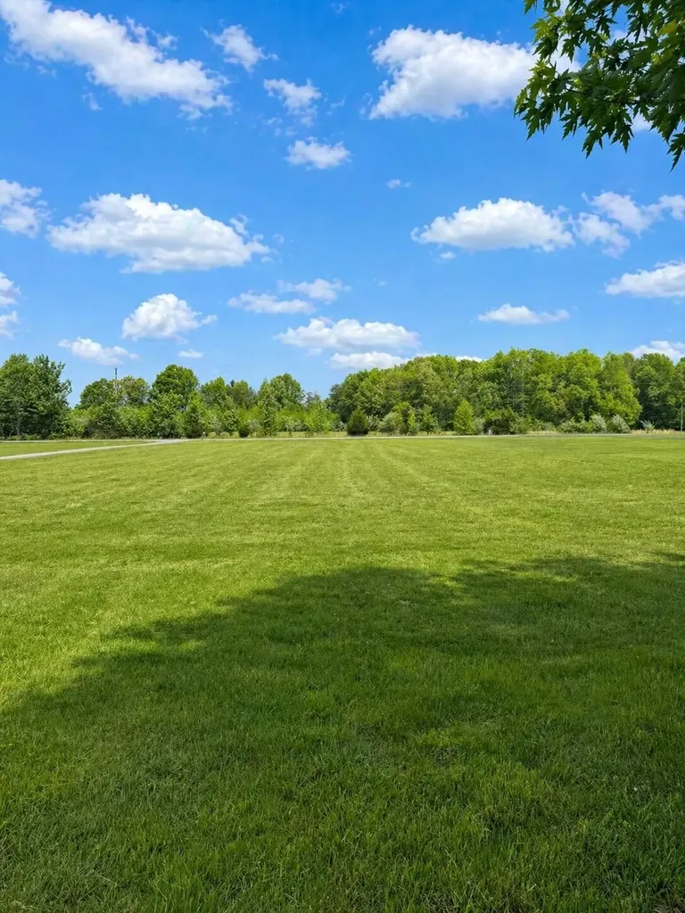 181 Mcqueary Road Russell Springs KY 42642