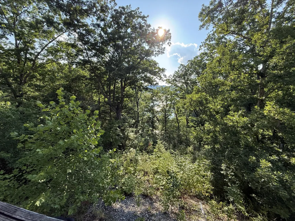 340 Hunters Paradise Road Monticello KY 42633