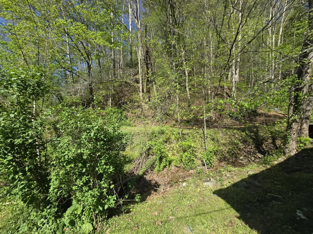 6026 State Highway 221 Bledsoe KY 40810