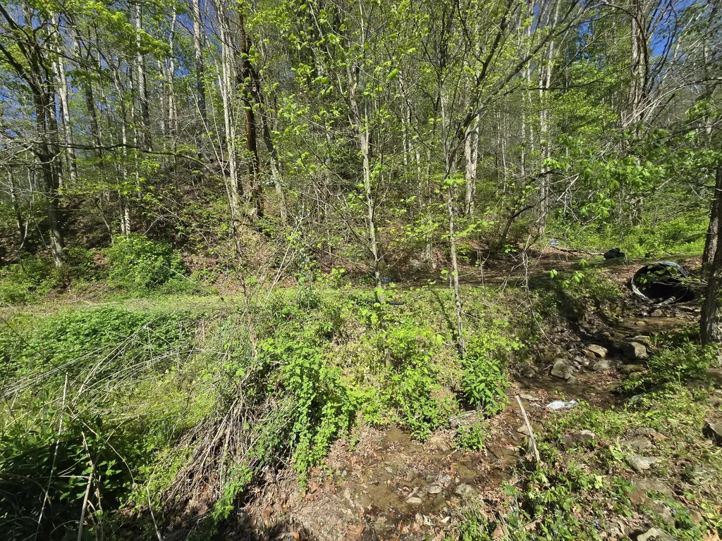6026 State Highway 221 Bledsoe KY 40810