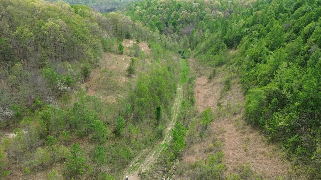 566A Tunnel Ridge Road Argillite KY 41121