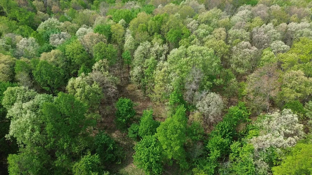 566A Tunnel Ridge Road Argillite KY 41121