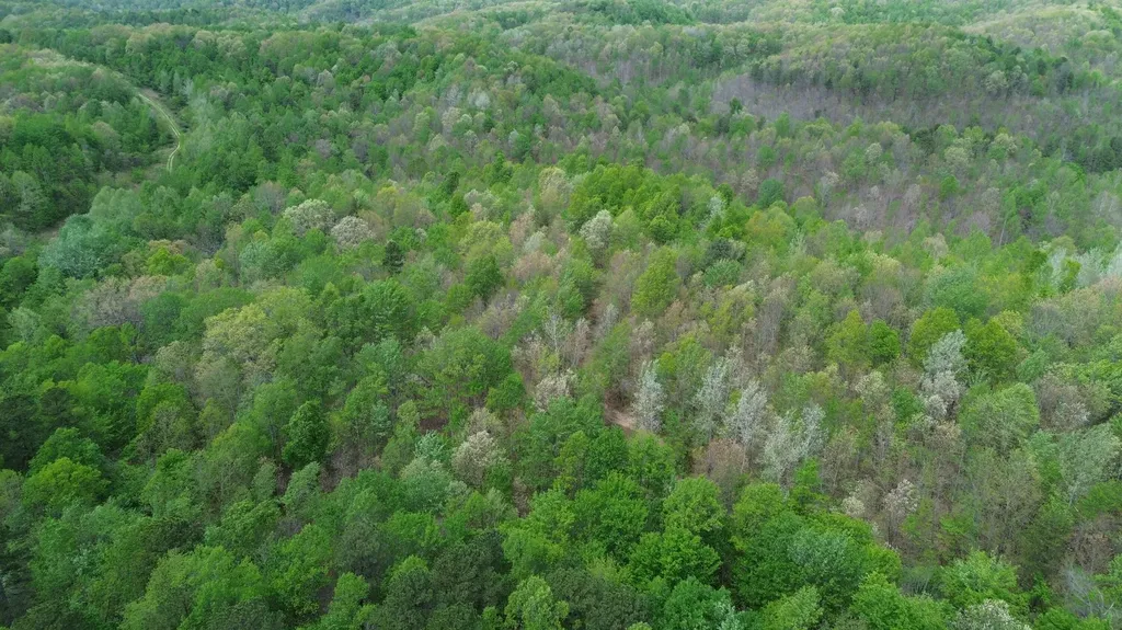 566A Tunnel Ridge Road Argillite KY 41121