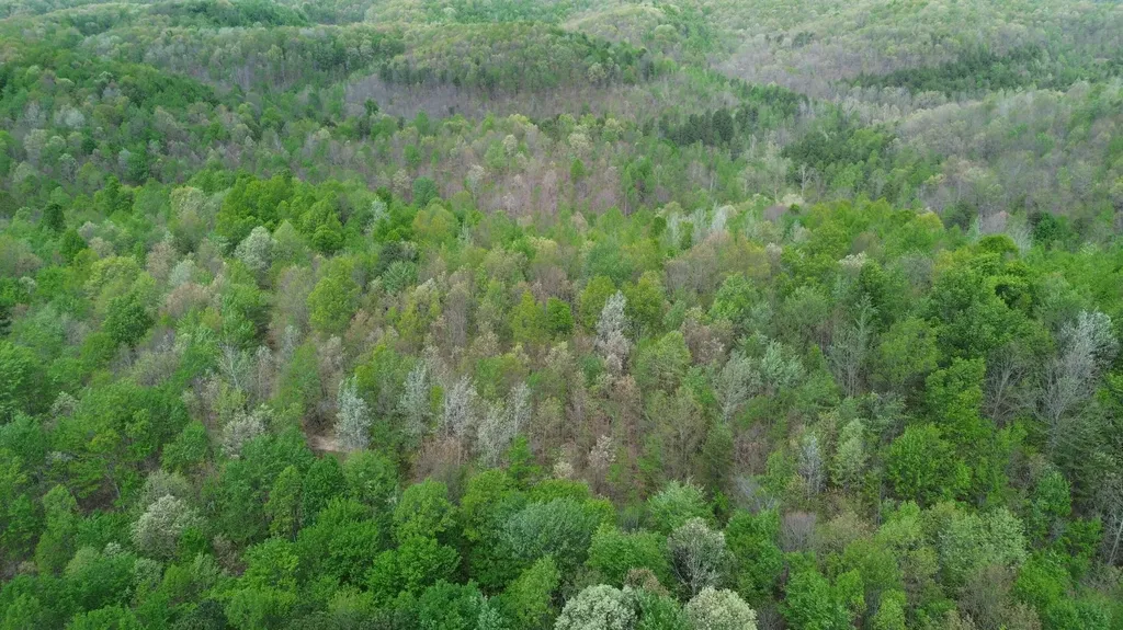 566A Tunnel Ridge Road Argillite KY 41121
