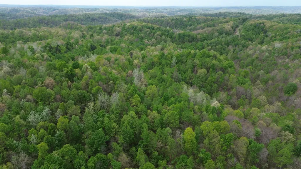 566A Tunnel Ridge Road Argillite KY 41121