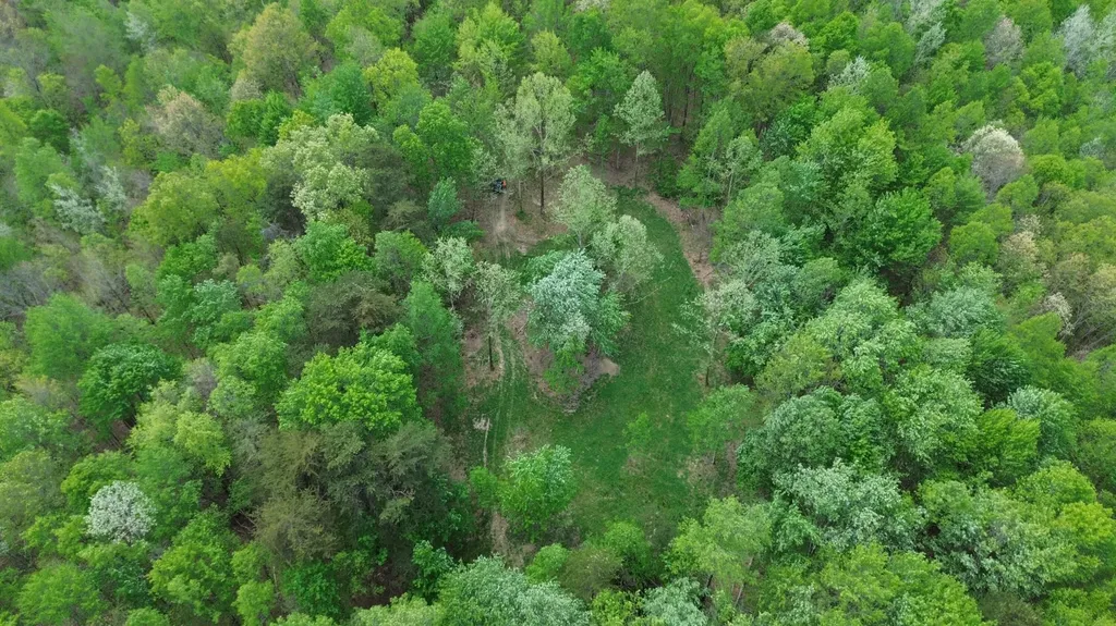 566A Tunnel Ridge Road Argillite KY 41121