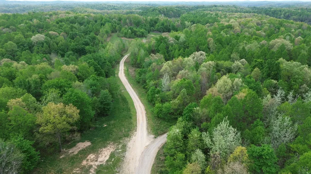 566A Tunnel Ridge Road Argillite KY 41121