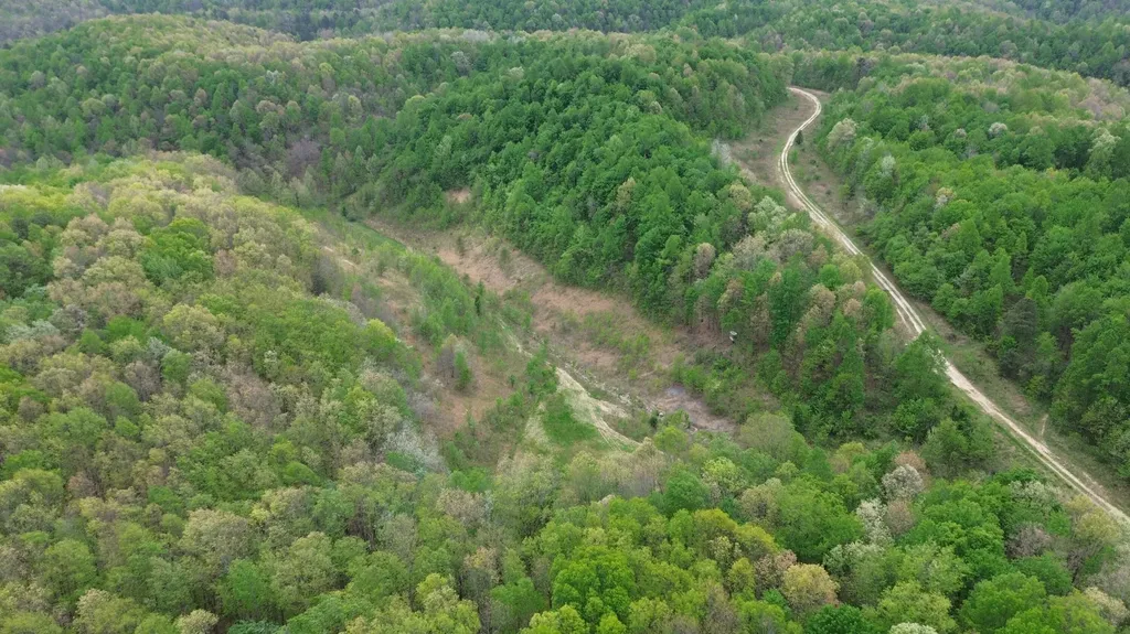 566A Tunnel Ridge Road Argillite KY 41121