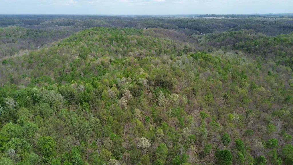 566A Tunnel Ridge Road Argillite KY 41121