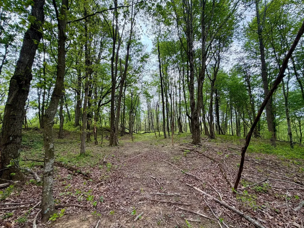 566A Tunnel Ridge Road Argillite KY 41121