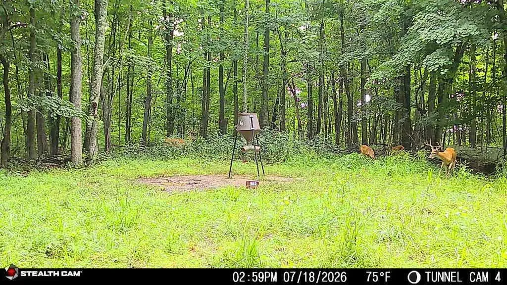 566A Tunnel Ridge Road Argillite KY 41121