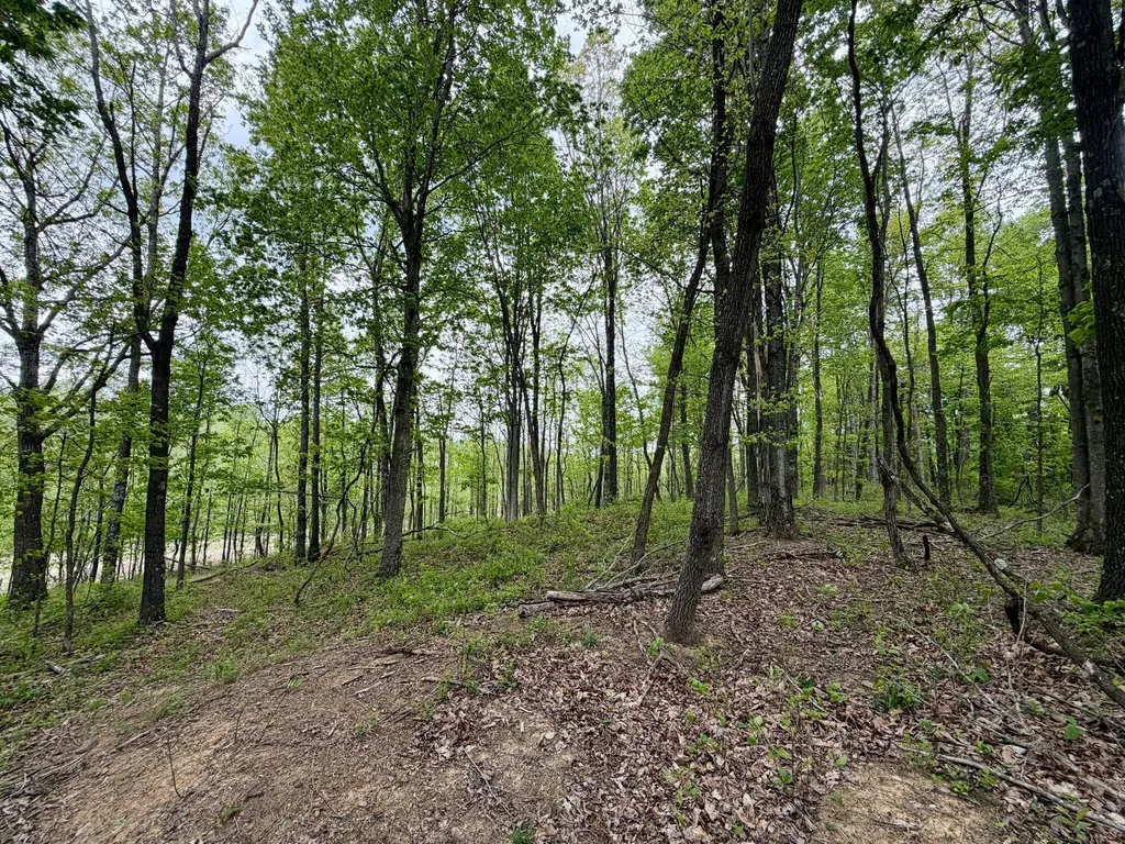 566A Tunnel Ridge Road Argillite KY 41121