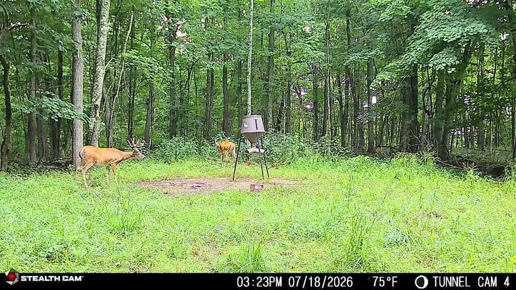 566A Tunnel Ridge Road Argillite KY 41121