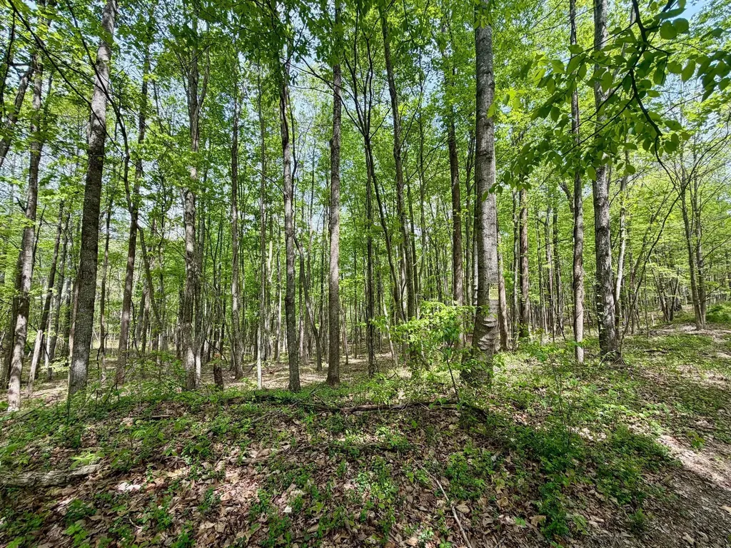566A Tunnel Ridge Road Argillite KY 41121