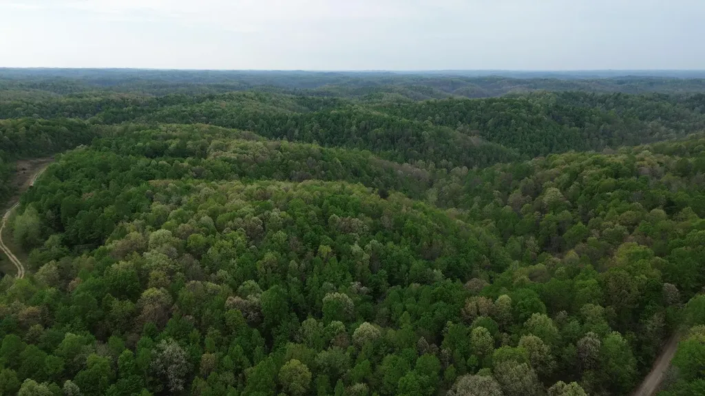 694A Tunnel Ridge Road Argillite KY 41121