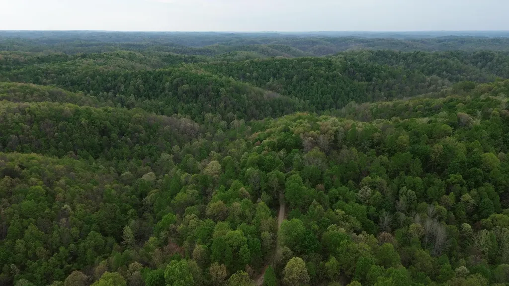 694A Tunnel Ridge Road Argillite KY 41121