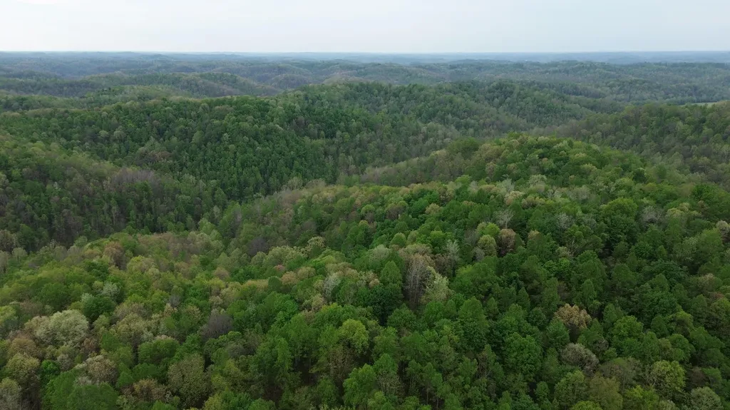 694A Tunnel Ridge Road Argillite KY 41121