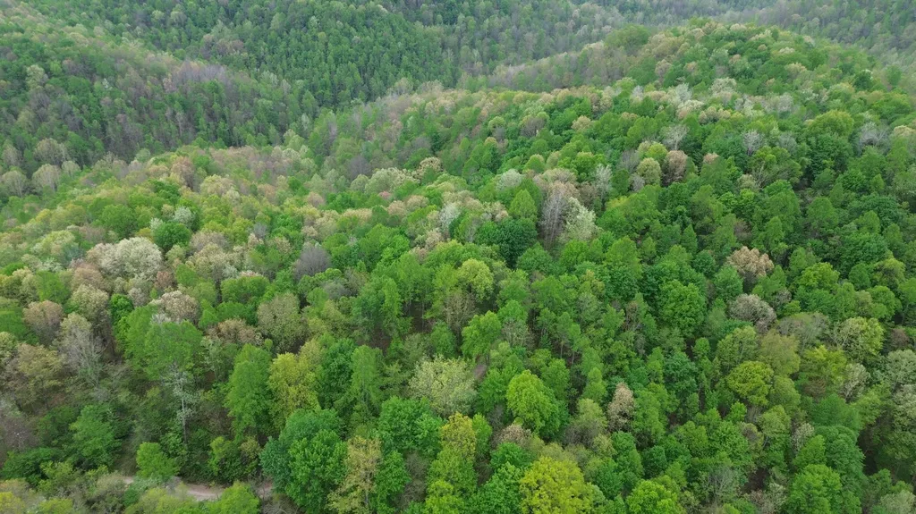 694A Tunnel Ridge Road Argillite KY 41121