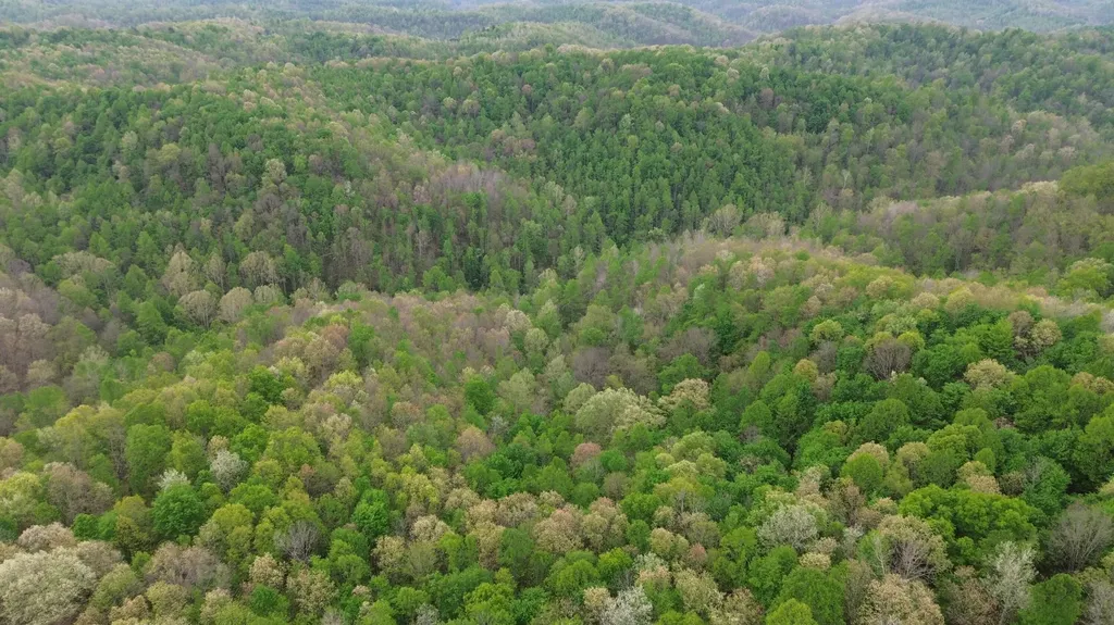 694A Tunnel Ridge Road Argillite KY 41121