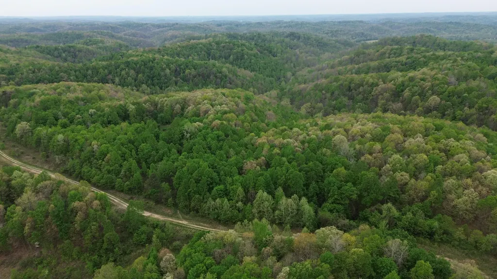 694A Tunnel Ridge Road Argillite KY 41121