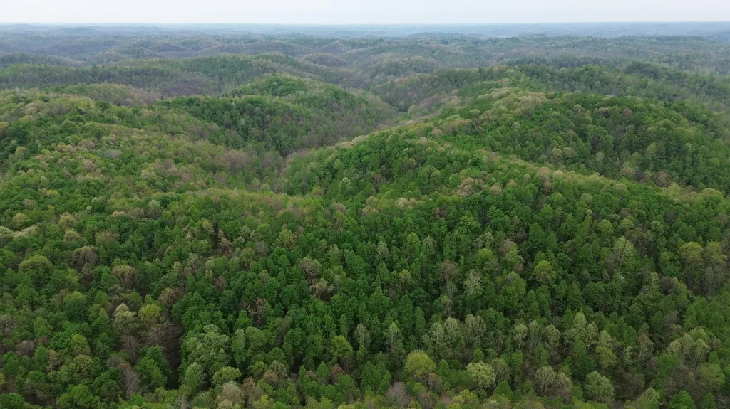 694A Tunnel Ridge Road Argillite KY 41121