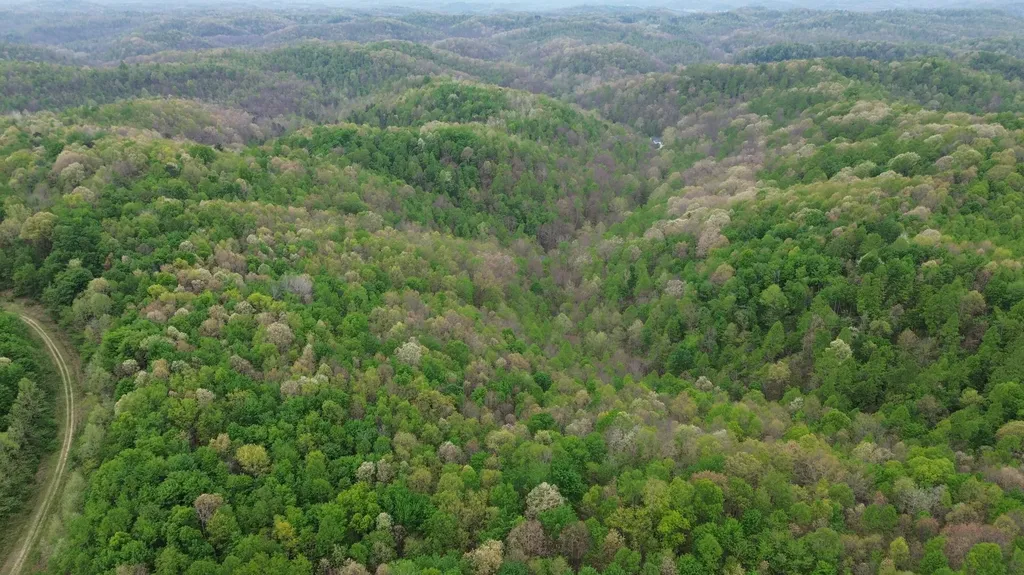 694A Tunnel Ridge Road Argillite KY 41121