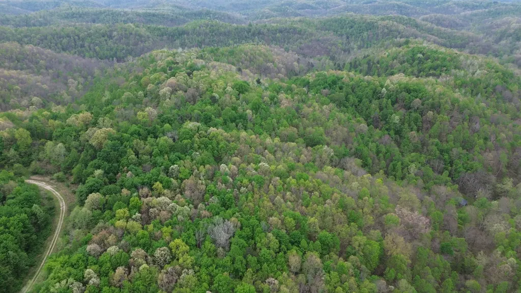694A Tunnel Ridge Road Argillite KY 41121