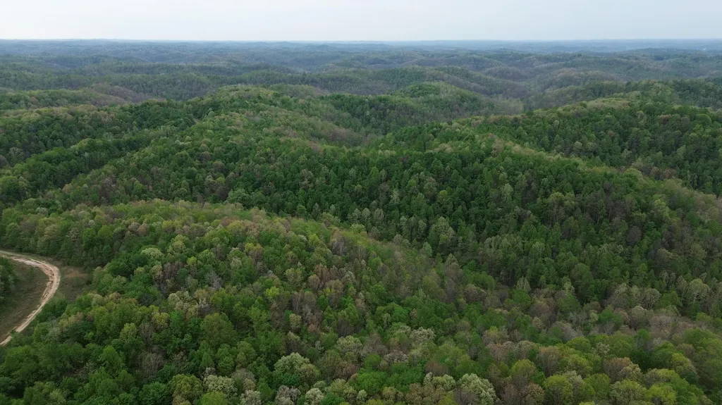 694A Tunnel Ridge Road Argillite KY 41121